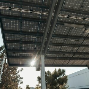 pexels-kindelmedia-9799762